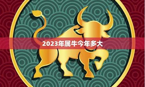 属牛今年多大年龄2024年-2021属牛的今年多大年龄