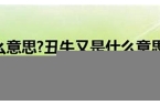 为什么是子鼠丑牛-为什么是子鼠丑牛是什么意思呢