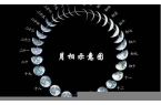 阳历六月十七号是什么星座-阳历