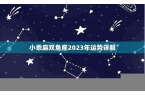 小乖麻2023年星座运势-小乖