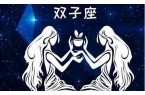 双子最配的星座-双子最配的星座